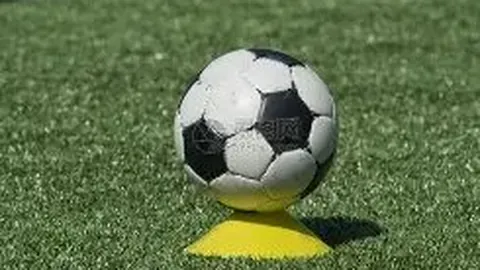 拜仁主帅科瓦奇被官方解职