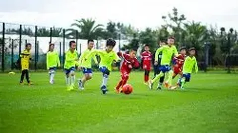 pg286娱乐平台 产品 103359 ly4