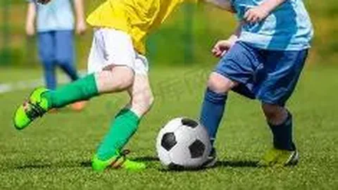 国米聘任吉利亚尼与达尔皮齐奥为独立董事